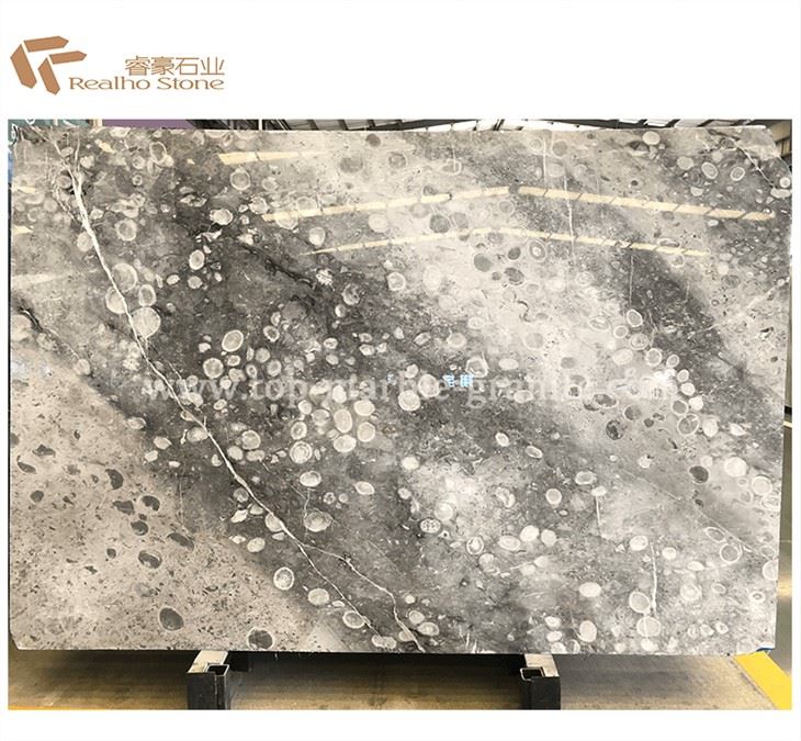 Ancient Fossils Marble Slab Polished