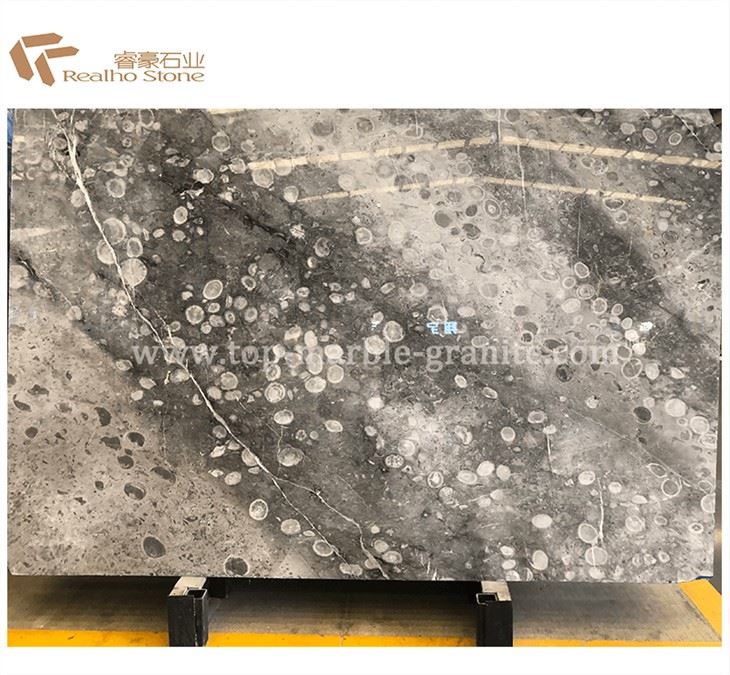 Ancient Fossils Marble Slab Polished