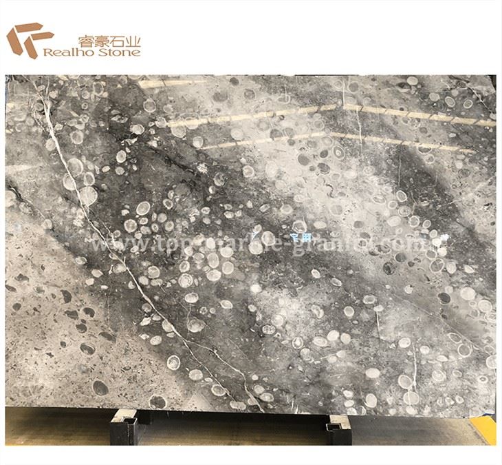Ancient Fossils Marble Slab Polished